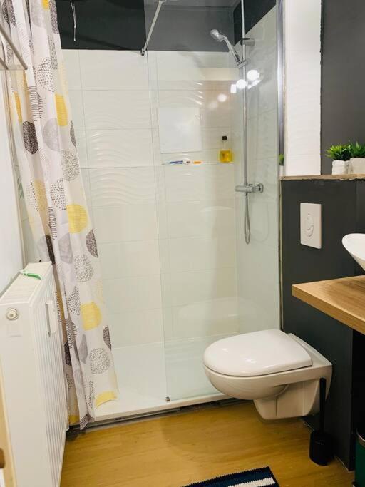 Appartement Tres Proche Mediacite - Centre Ville リエージュ エクステリア 写真